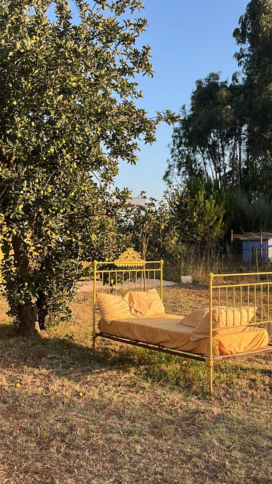 Quintal Alentejano